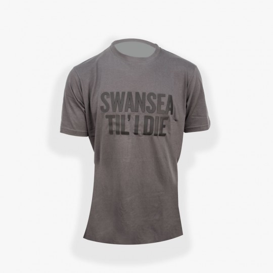 Swans Charcoal T-Shirt Adult 23-24