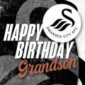 Swans 21 Happy Birthday Grandson