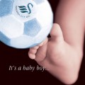 Swans 21 Baby Boy Card