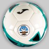 Swansea City White/Green Ball - Size 1