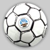Swans White/Black Ball Size 5