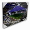 Swans LED Stadium Canvas 23-24