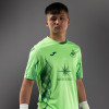 Swans Green Keeper Jersey Junior 2024-2025