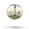 Swans White/Green Ball Size 5 2024-2025