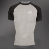 Swans Horizon T-Shirt Grey 24-25