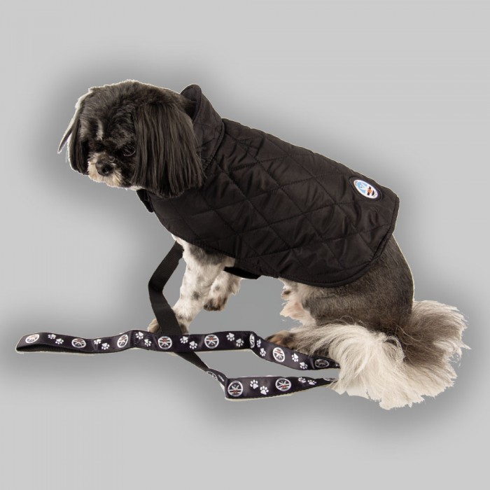 Swansea City Dog Coat