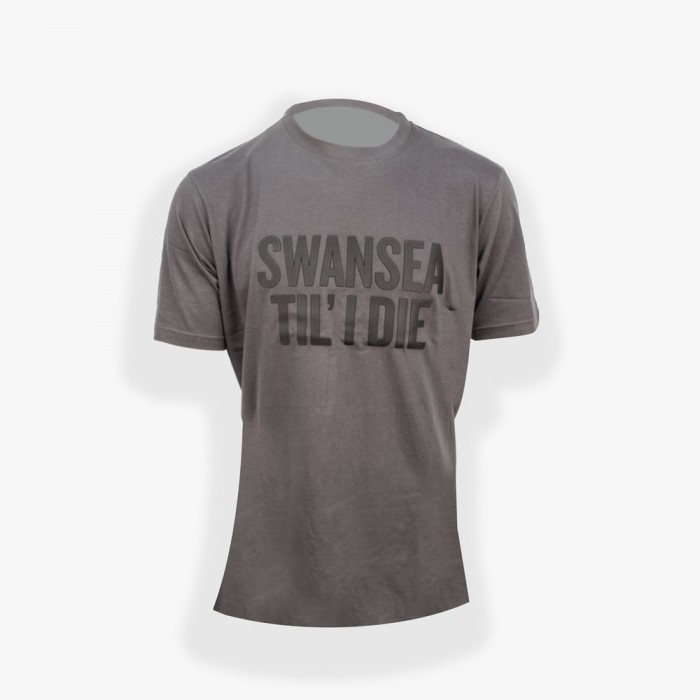 Swans Charcoal T-Shirt Adult 23-24