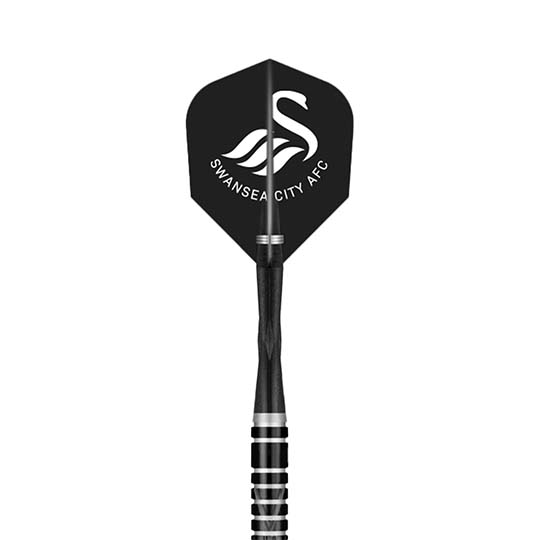 Swansea City Darts Flights 23-24