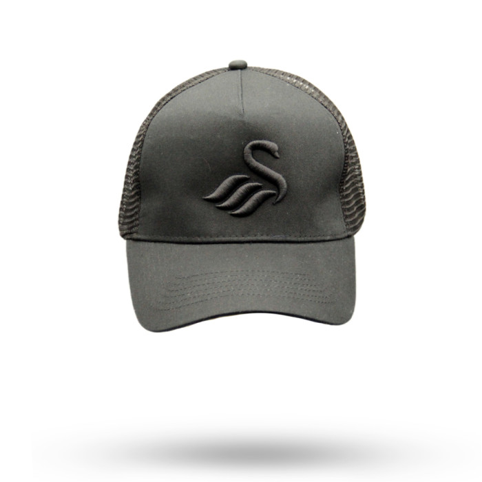 Swans Tonal Cap 24-25