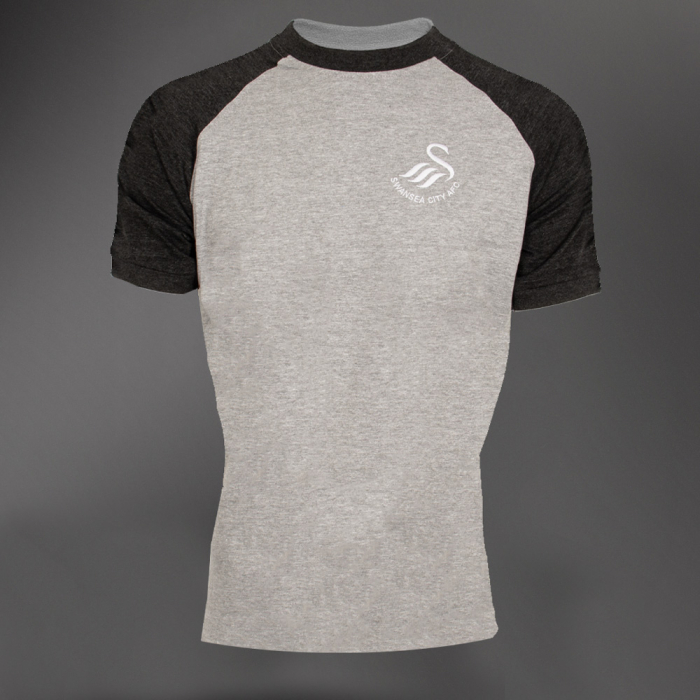 Swans Horizon T-Shirt Grey 24-25