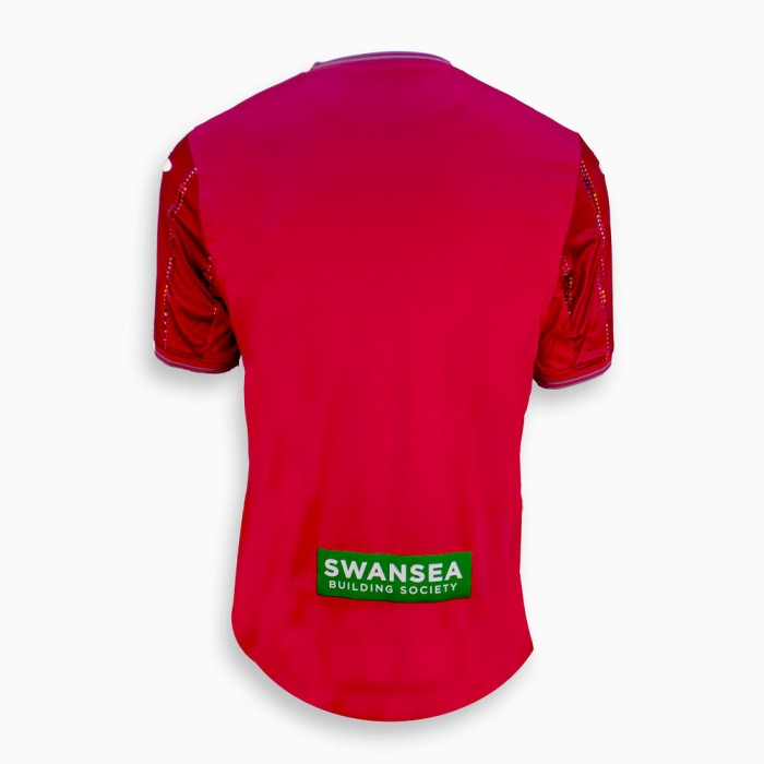 Swans 3rd Jersey Adult 2023-2024